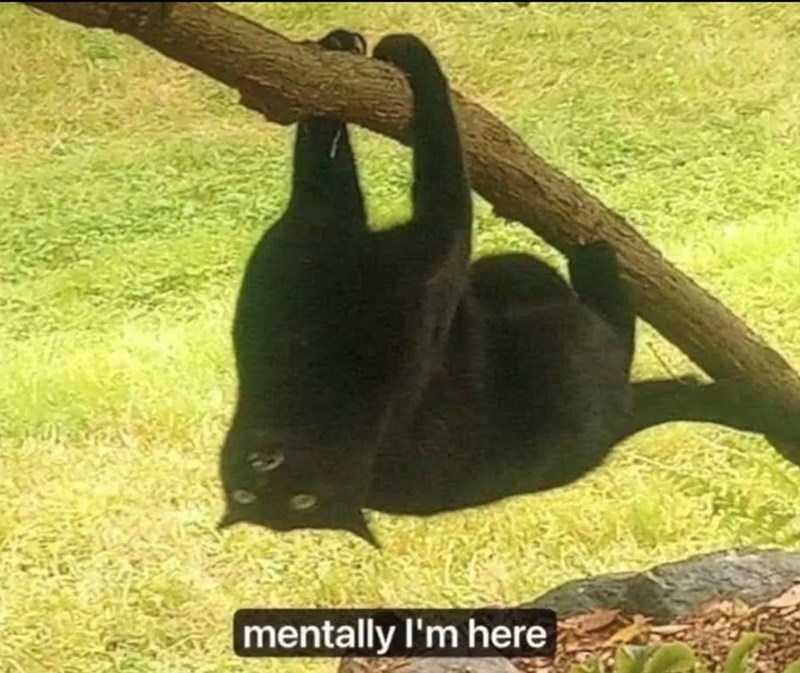 mentally I'm here