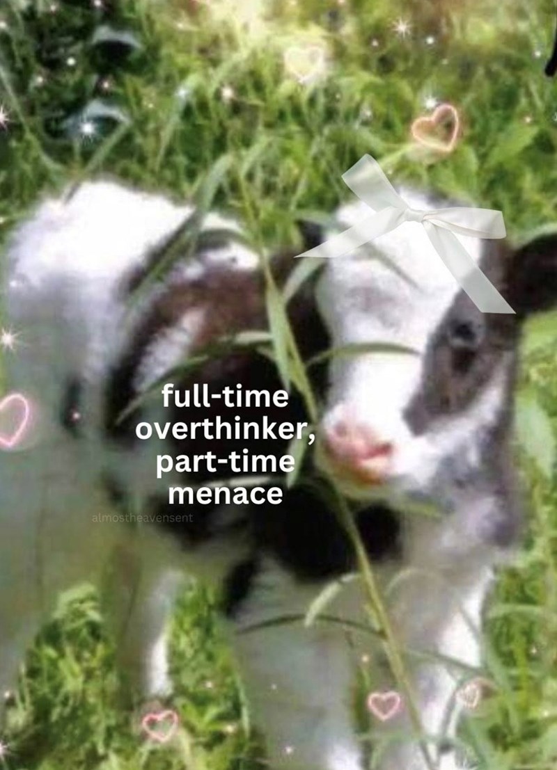 full-time overthinker, part-time menace almostheavensent