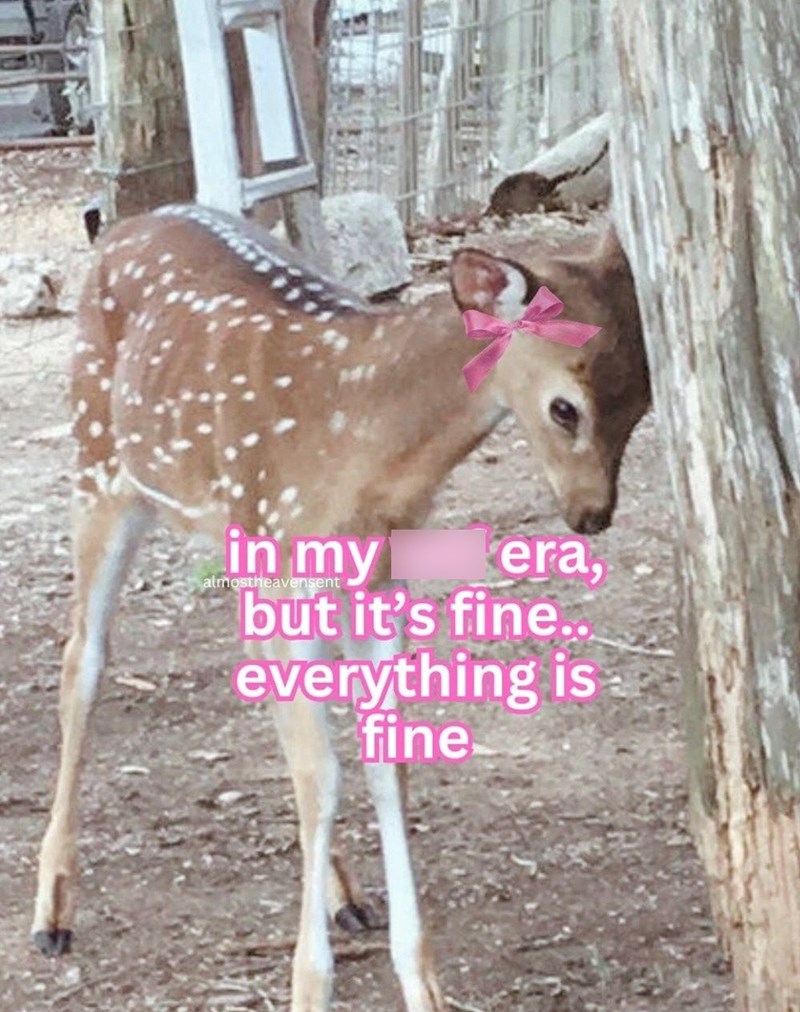 in my almostheavensent era, but it's fine.. everything is fine