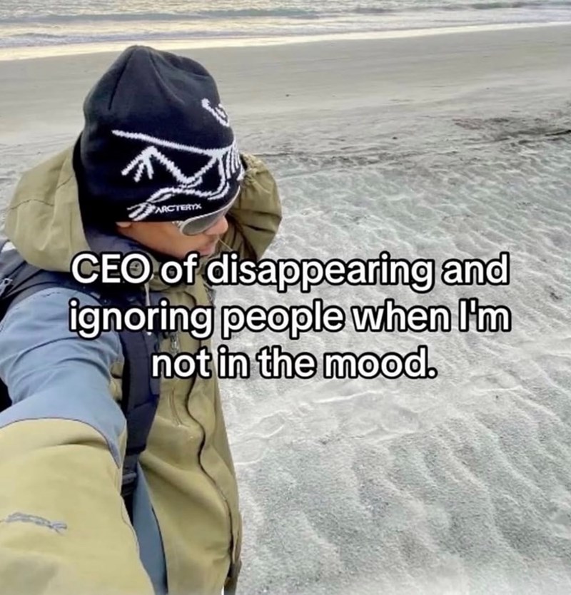 ARCTERYX CEO of disappearing and ignoring people when I'm not in the mood.