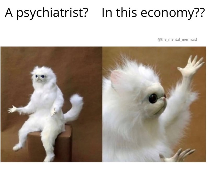 A psychiatrist? In this economy?? @the_mental_mermaid