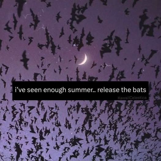 i've seen enough summer.. release the bats KawaiiCelestica