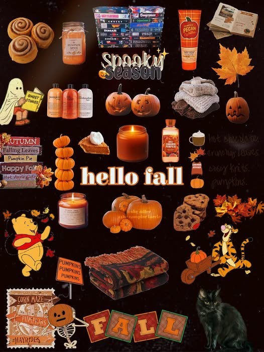 GHOST STORIES UTUMN Falling Leaves Pumpkin Pie Happy Fa Hot Apple Gide CORN MAZE PUMPEINS HAYRIDES PEMPLIN SPICE Spooky Season PECAN hello fall hot chicrates crunchy leaves casey knits. pumpkins PUMPKINS PUMPKINS PUMPKINS FALL