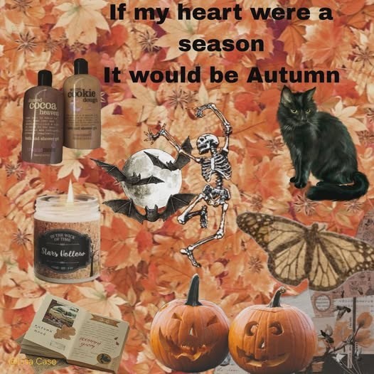 ded Cocoa heave okie doug If my heart were a season It would be Autumn THE WA TIME Stars Hollow esa Case