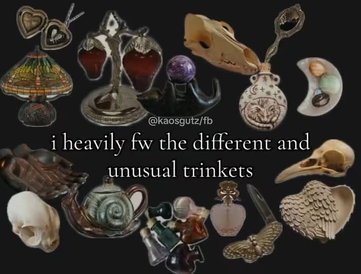 @kaosgutz/fb i heavily fw the different and unusual trinkets