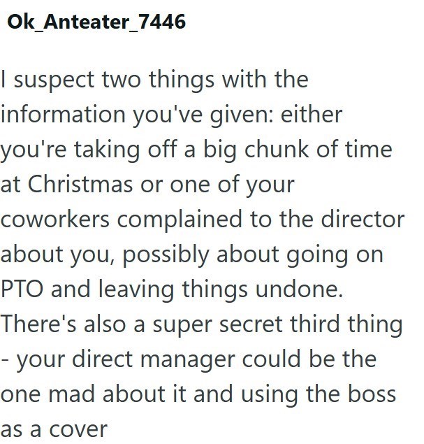 Ok_Anteater_7446 I suspect two things with the information you've given: either you're taking off a big chunk of time at Christmas or one of your coworkers complained to the director about you, possibly about going on PTO and leaving things undone. There's also a super secret third thing - your direct manager could be the one mad about it and using the boss as a cover