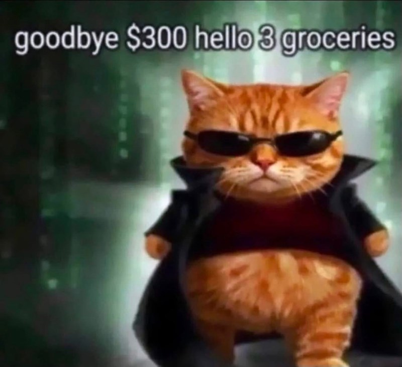 goodbye $300 hello 3 groceries