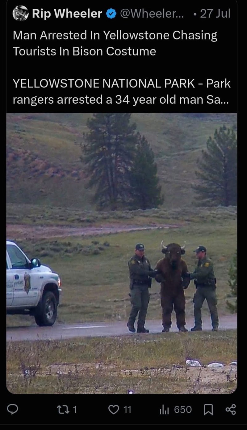 Rip Wheeler @Wheeler... 27 Jul Man Arrested In Yellowstone Chasing Tourists In Bison Costume YELLOWSTONE NATIONAL PARK - Park rangers arrested a 34 year old man Sa... 271 11 650 o