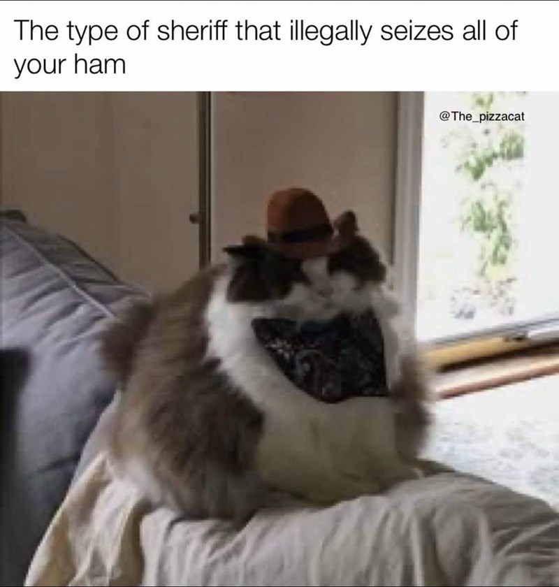 The type of sheriff that illegally seizes all of your ham @The_pizzacat