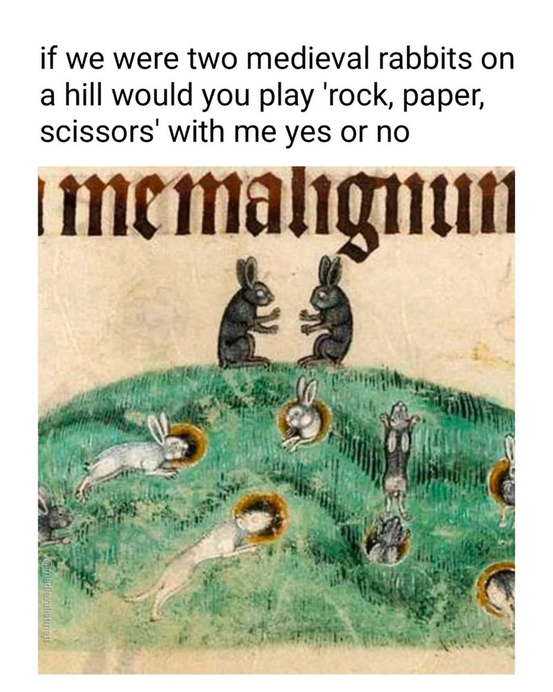 if we were two medieval rabbits on a hill would you play 'rock, paper, scissors' with me yes or no memalignun