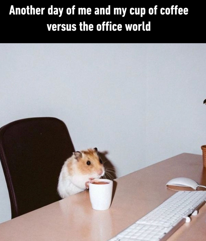 Another day of me and my cup of coffee versus the office world
