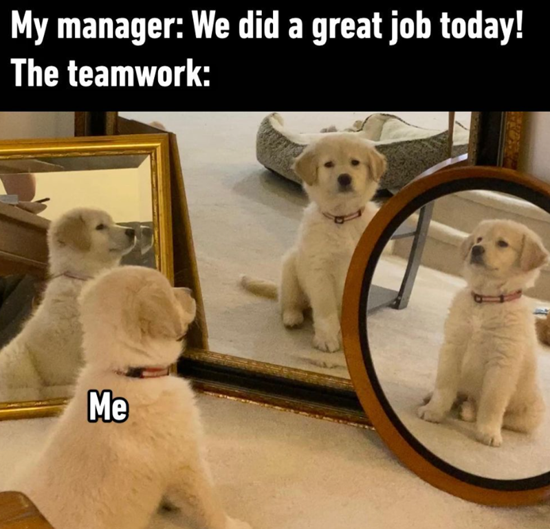 My manager: We did a great job today! The teamwork: Me
