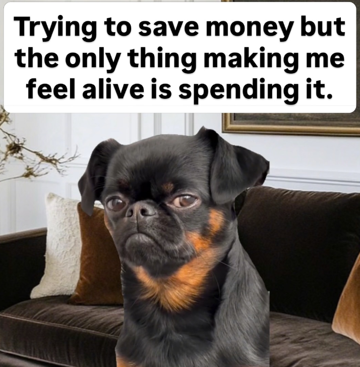Trying to save money but the only thing making me feel alive is spending it.