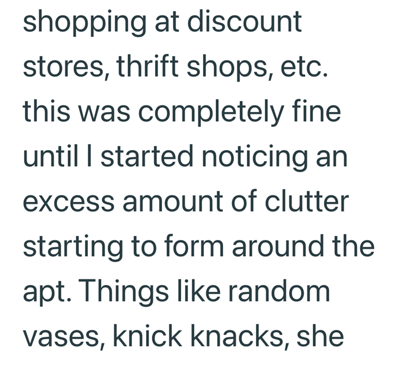 shopping at discount stores, thrift shops, etc. this was completely fine until I started noticing an excess amount of clutter starting to form around the apt. Things like random vases, knick knacks, she
