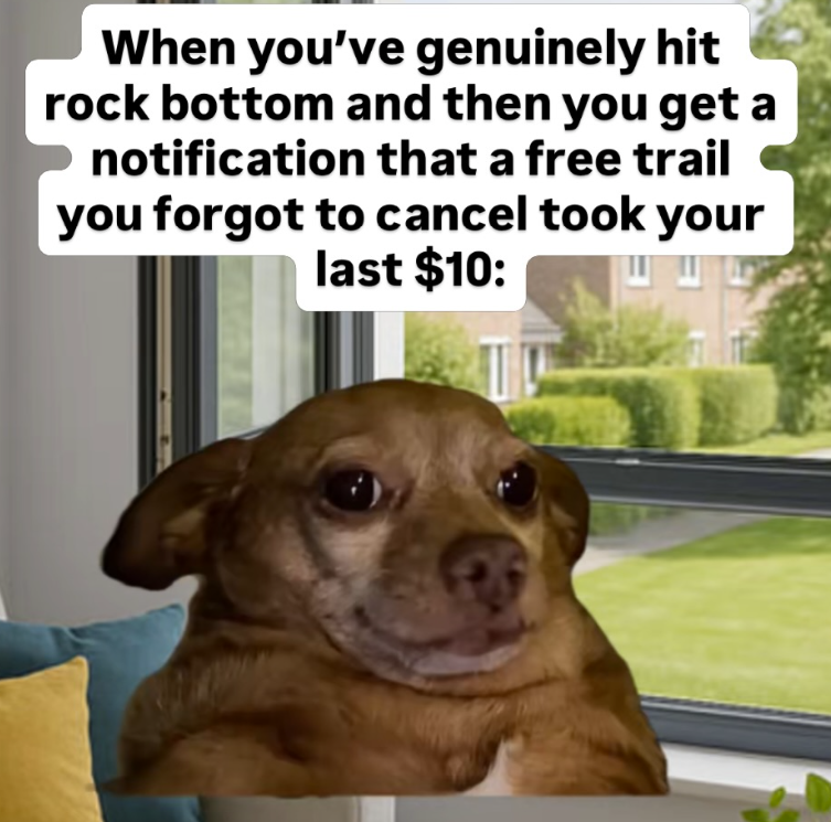 When you've genuinely hit rock bottom and then you get a notification that a free trail you forgot to cancel took your last $10: