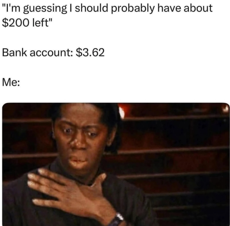 "I'm guessing I should probably have about $200 left" Bank account: $3.62 Me: