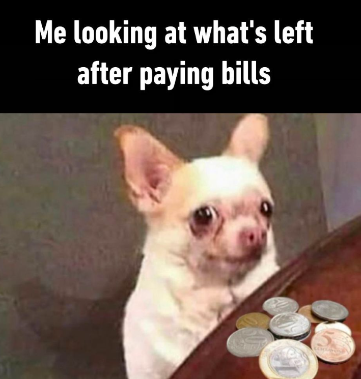 Me looking at what's left after paying bills