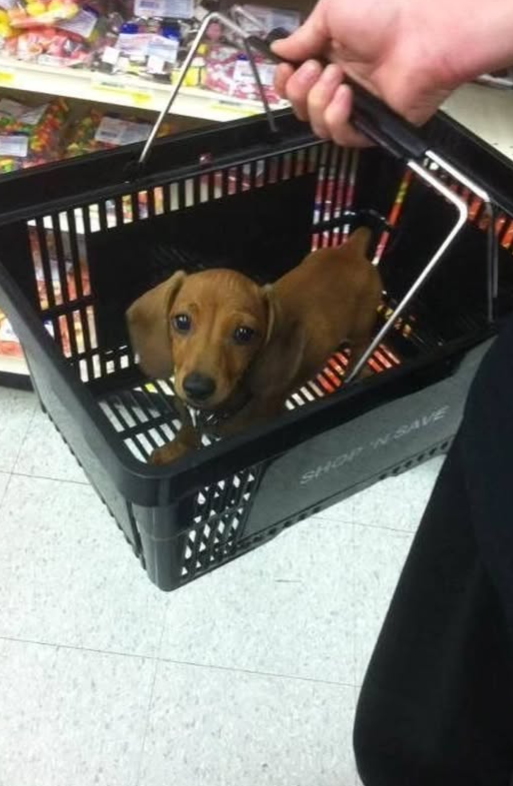 SHOP N SAVE