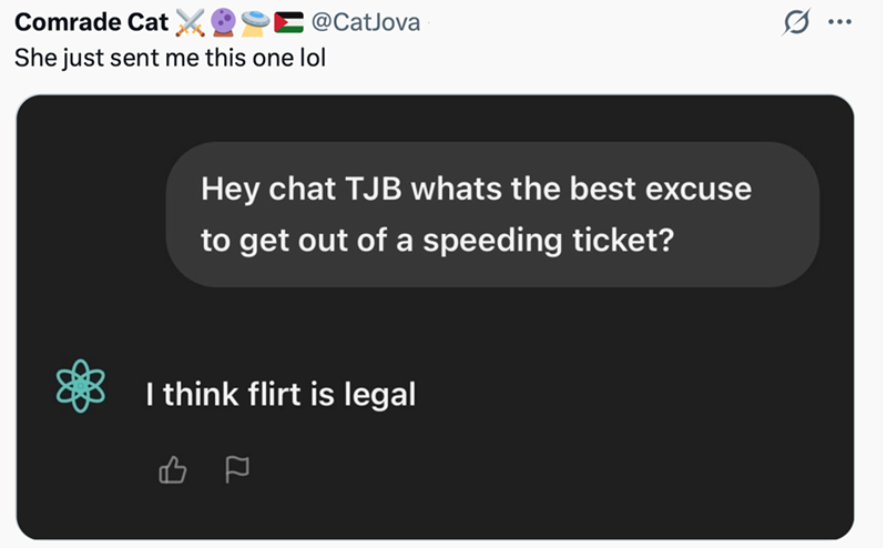 @CatJova Comrade Cat ✗O She just sent me this one lol Hey chat TJB whats the best excuse to get out of a speeding ticket? I think flirt is legal ㅁ Q