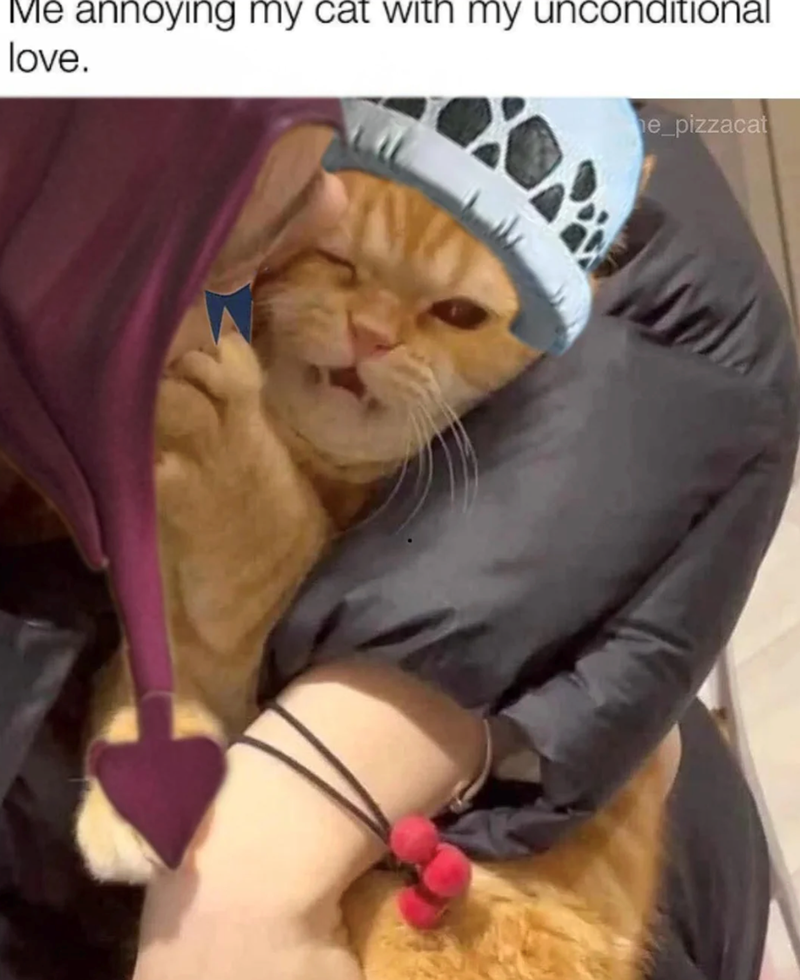 Me annoying my cat with my unconditional love. e_pizzacat