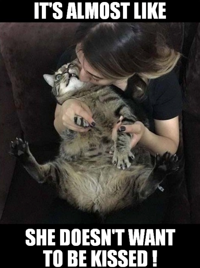 IT'S ALMOST LIKE SHE DOESN'T WANT TO BE KISSED!