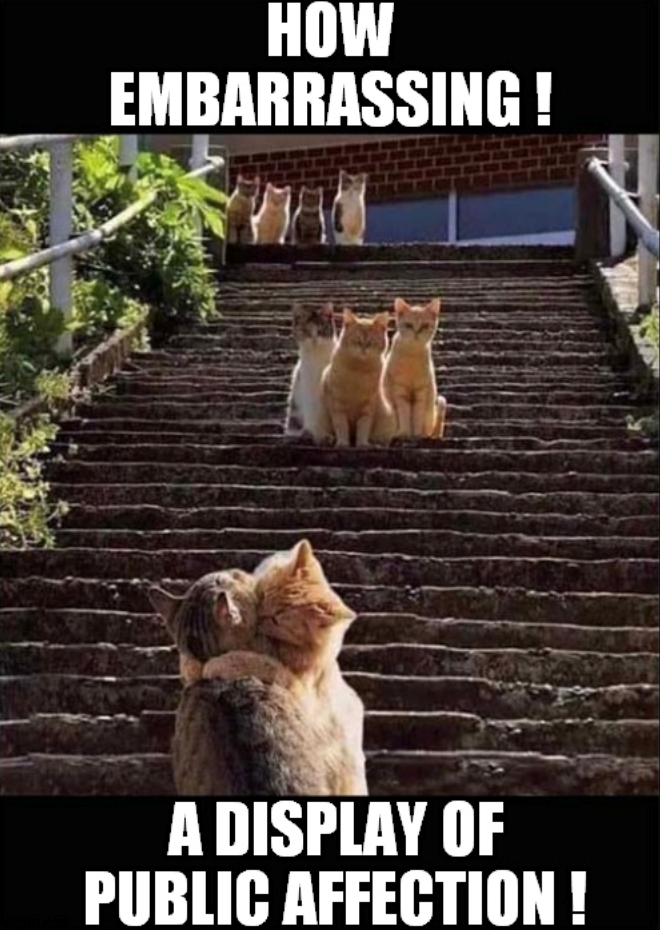 HOW EMBARRASSING! A DISPLAY OF PUBLIC AFFECTION!