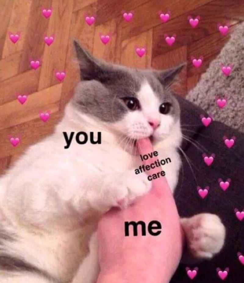 you love affection care me