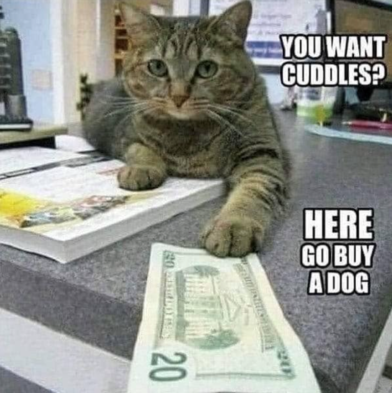 YOU WANT CUDDLES? 20 HERE GO BUY A DOG