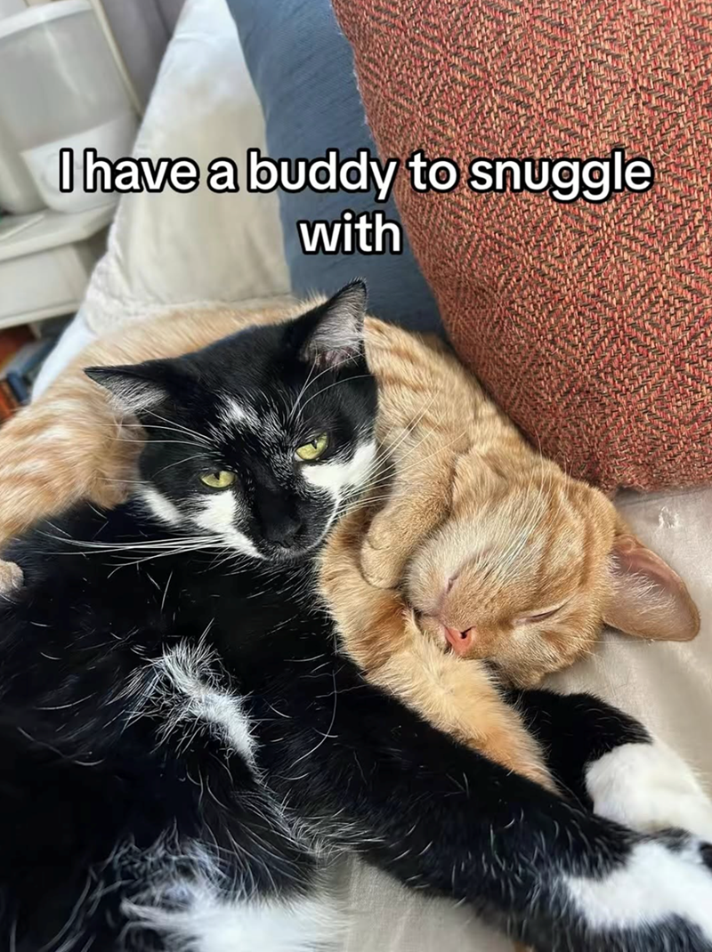 I have a buddy to snuggle with