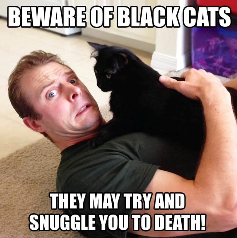 BEWARE OF BLACK CATS THEY MAY TRY AND SNUGGLE YOU TO DEATH!