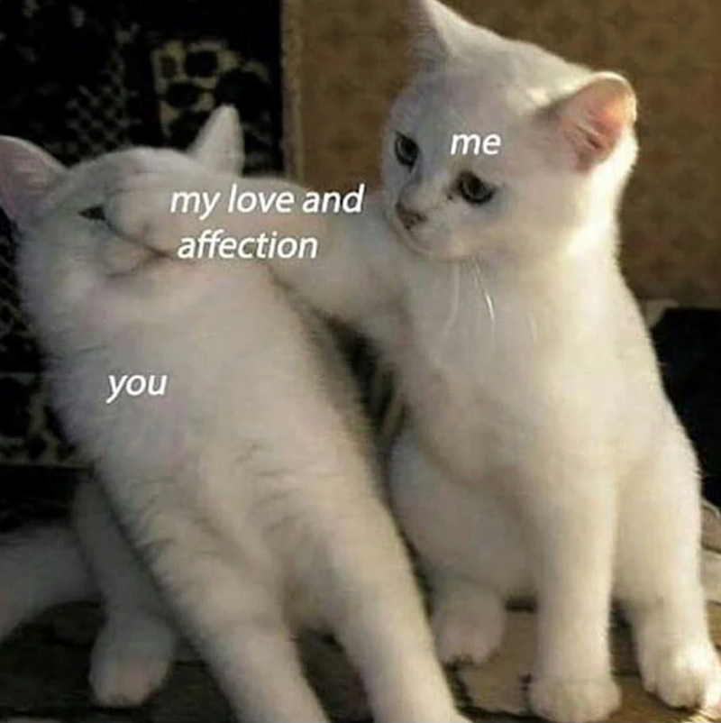 you my love and affection me