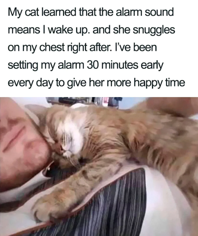 My cat learned that the alarm sound means I wake up. and she snuggles on my chest right after. I've been setting my alarm 30 minutes early every day to give her more happy time