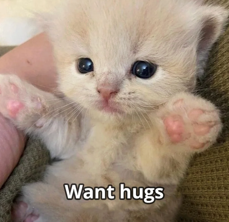 Want hugs