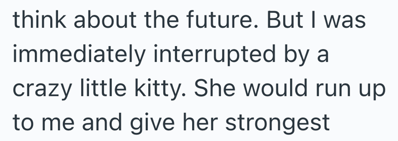 think about the future. But I was immediately interrupted by a crazy little kitty. She would run up to me and give her strongest