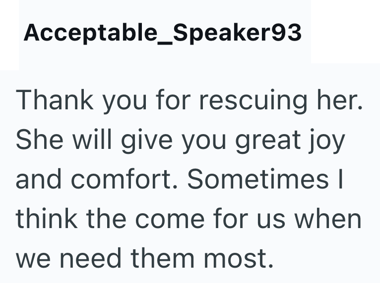 Acceptable_Speaker93 Thank you for rescuing her. She will give you great joy and comfort. Sometimes I think the come for us when we need them most.