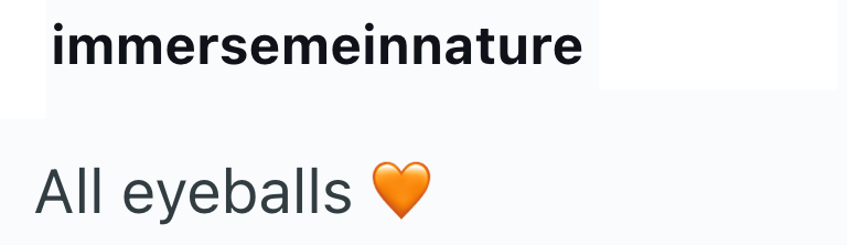 immersemeinnature All eyeballs