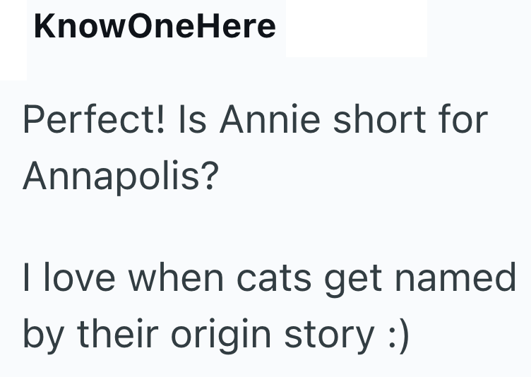 KnowOneHere Perfect! Is Annie short for Annapolis? I love when cats get named by their origin story :)