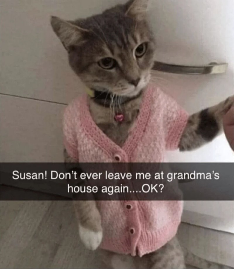 Susan! Don't ever leave me at grandma's house again....OK?