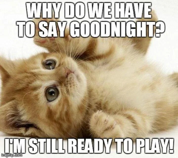 WHY DO WE HAVE TO SAY GOODNIGHT? I'M STILL READY TO PLAY! imgflip.com