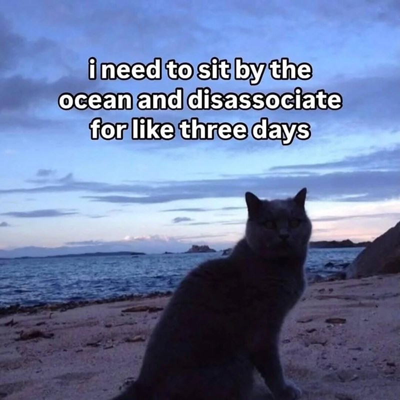 i need to sit by the ocean and disassociate for like three days