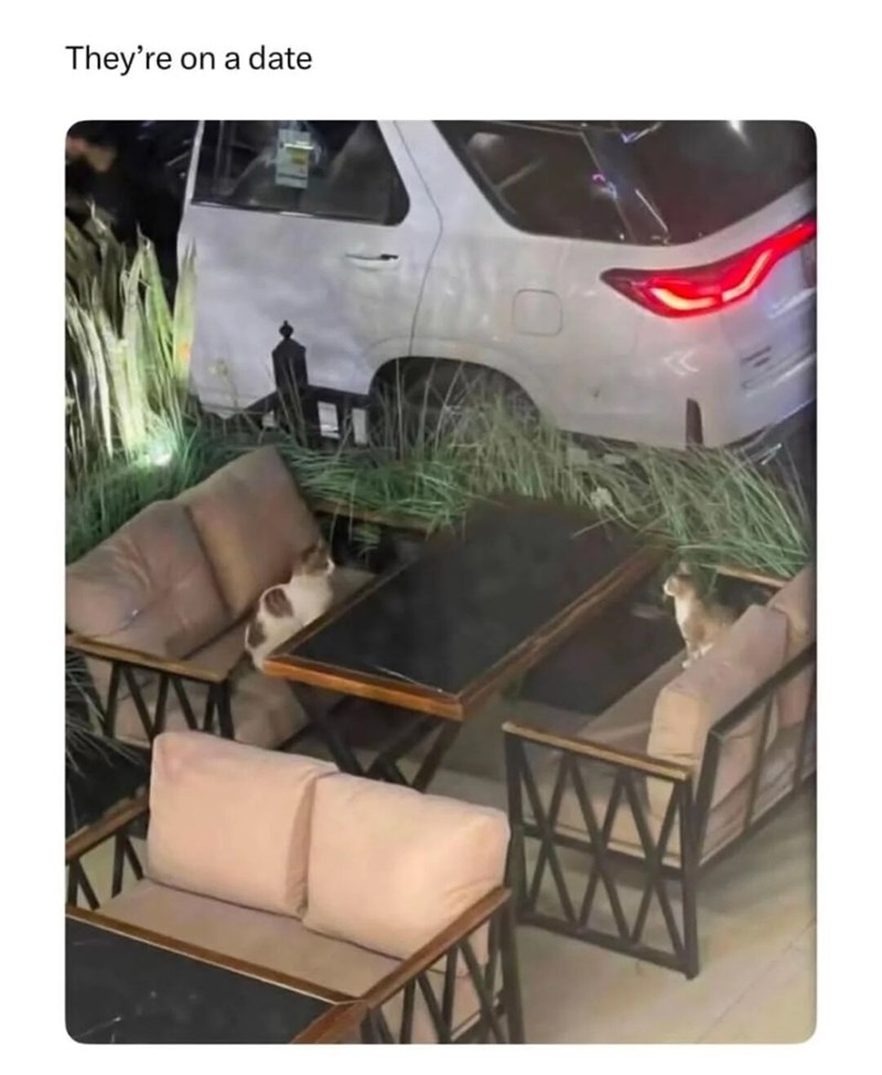 They're on a date