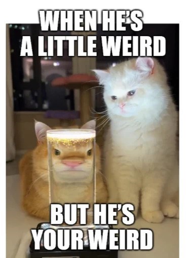 WHEN HE'S A LITTLE WEIRD BUT HE'S YOUR WEIRD