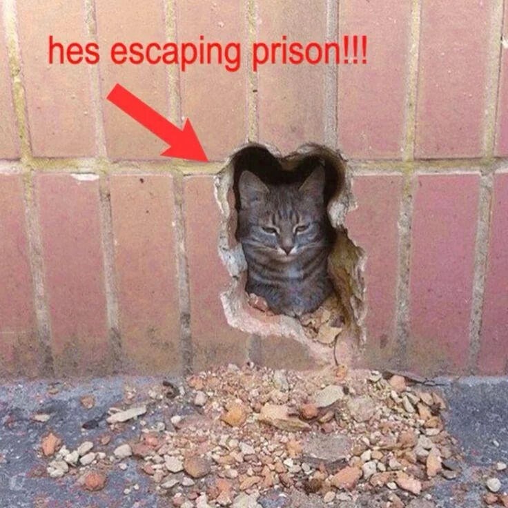 hes escaping prison!!!