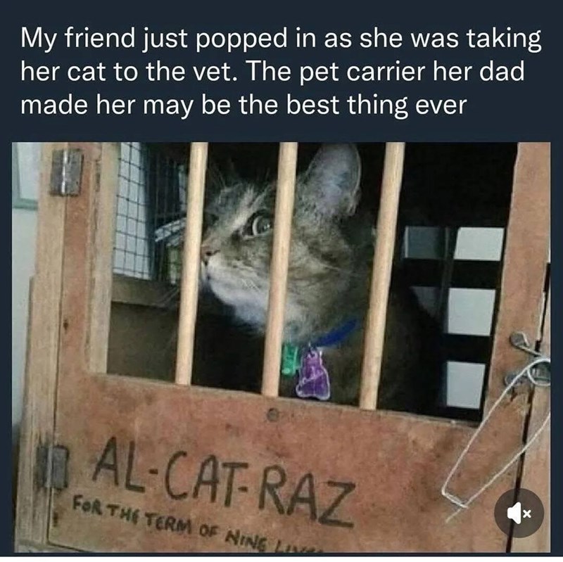 My friend just popped in as she was taking her cat to the vet. The pet carrier her dad made her may be the best thing ever AL-CAT-RAZ FOR THE TERM OF NINE