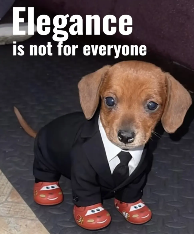 Elegance is not for everyone