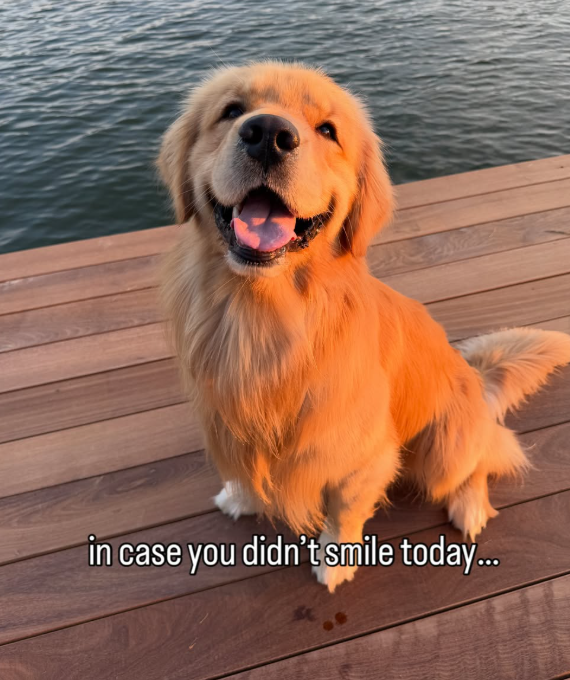 in case you didn't smile today...