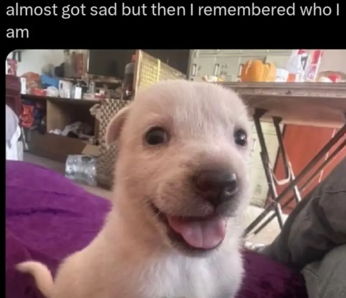 almost got sad but then I remembered who I am