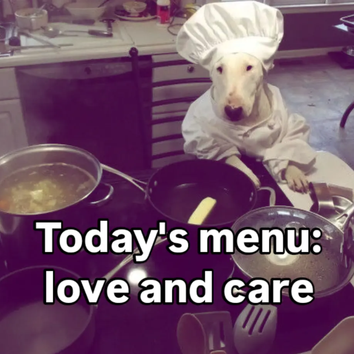 Today's menu: love and care