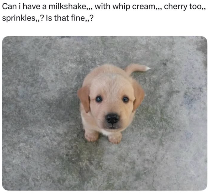 Can i have a milkshake,,, with whip cream,,, cherry too,, sprinkles,,? Is that fine,,?