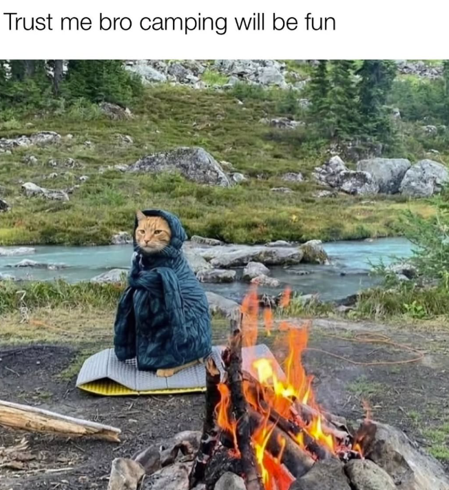 Trust me bro camping will be fun